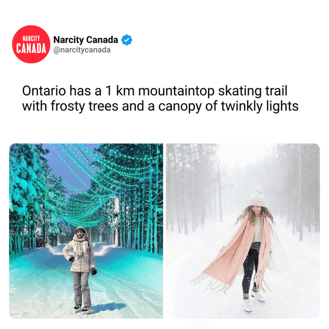 Ontario has a 1 km mountaintop skating trail with frosty trees and a canopy of twinkly lights