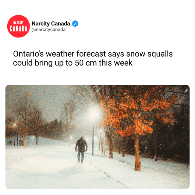 Ontario's weather forecast says snow squalls could bring up to 50 cm this week