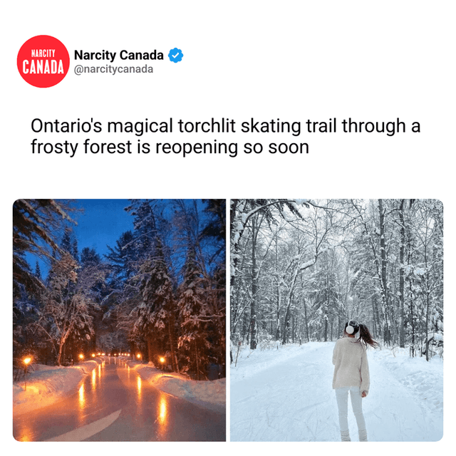 Ontario's magical torchlit skating trail through a frosty forest is reopening so soon