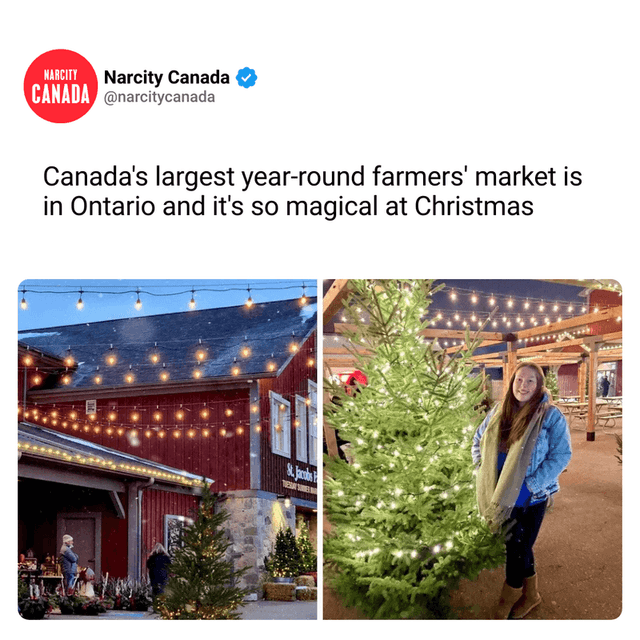 Canada's largest year-round farmers' market is in Ontario and it's so magical at Christmas