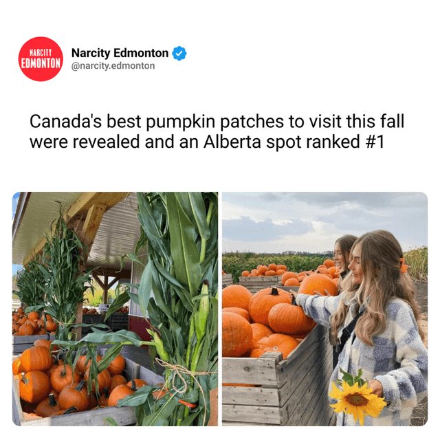 Canada's best pumpkin patches to visit this fall were revealed and an Alberta spot ranked #1