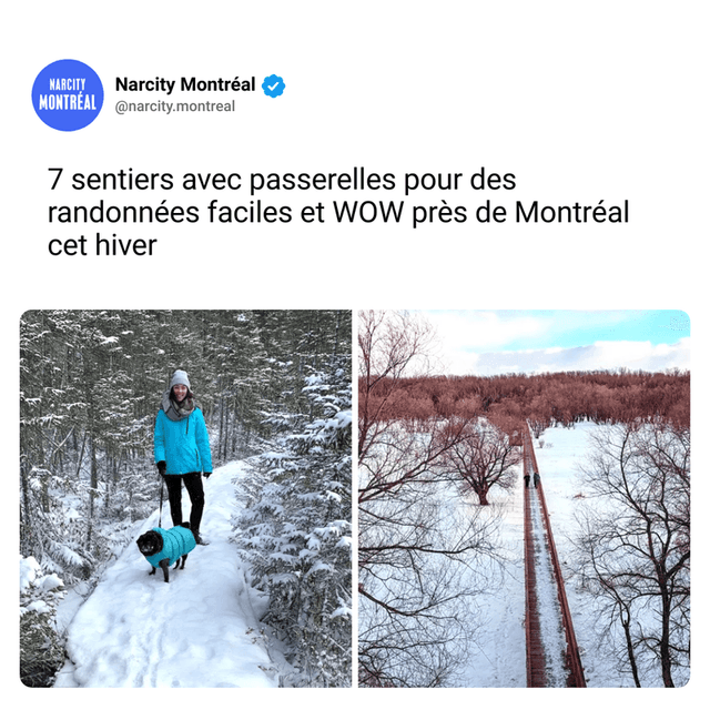 7 sentiers avec passerelles pour des randonnées faciles et WOW près de Montréal cet hiver