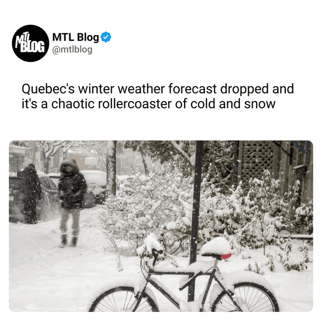 Quebec's winter weather forecast dropped and it's a chaotic rollercoaster of cold and snow