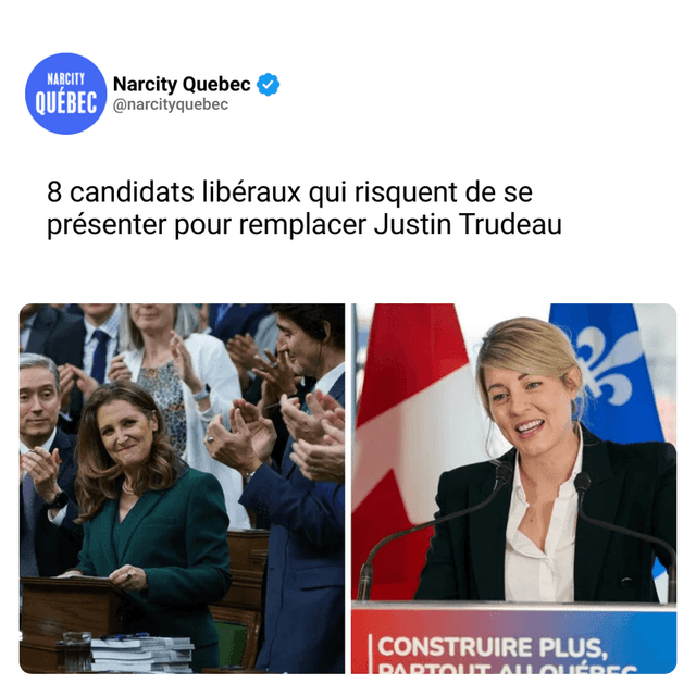 8 candidats libéraux qui risquent de se présenter pour remplacer Justin Trudeau