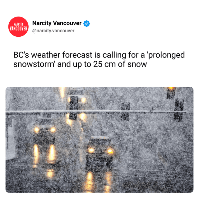 BC's weather forecast is calling for a 'prolonged snowstorm' and up to 25 cm of snow